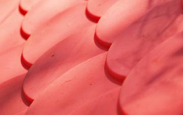 Blisland plastic roof costs